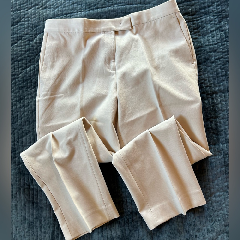 NWOT Ann Taylor Knaki slacks